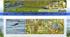 Desktop Screenshot of airboatadventuretours.com